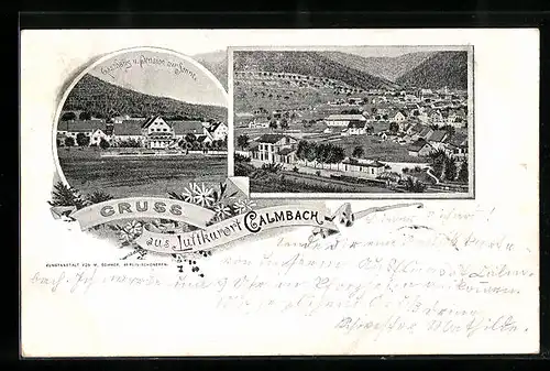 AK Calmbach, Gasthaus und Pension zur Sonne, Teilansicht