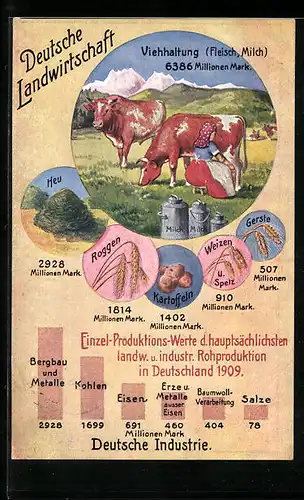 AK Deutsche Landwirtschaft und Industrie, Einzel-Produktions-Werte der Rohproduktion 1909, Rind