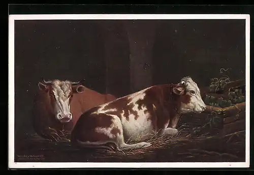 AK Zwei liegende Kühe im Stall