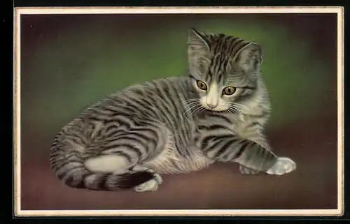 AK Gestreifte Katze betrachtet ihren Schwanz