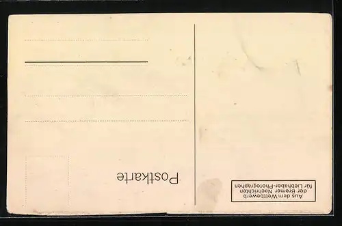 AK Drei junge Störche im Nest