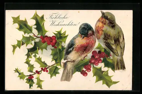 AK Zwei Vögel auf Ilexzweig, Weihnachtsgruss