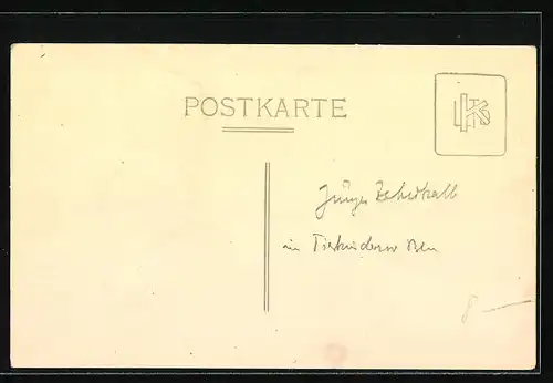 Foto-AK Säugendes Kalb im Stall