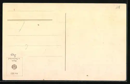 AK Zwei bunte Vögel mit langem Gefieder im Urwald