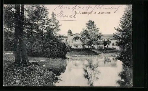 AK Tilsit, Jacobsruhe am Schwanenteich