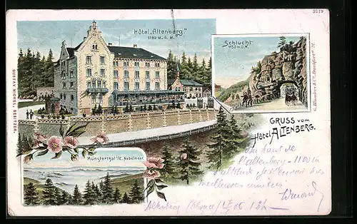 Lithographie Altenberg, Hotel Altenberg, Münsterthal i. E., Nebelmeer, Schlucht