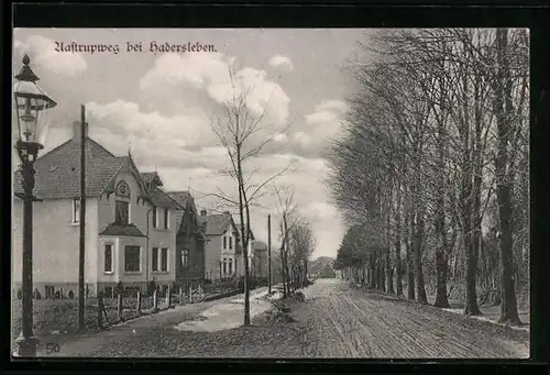 AK Hadersleben, Häuser am Aastrupweg
