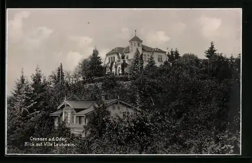 AK Crossen / Krosno Odrz, Blick auf Villa Leutwein