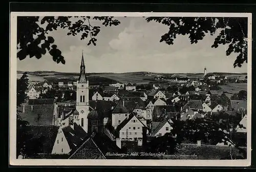 AK Mainburg i. Ndb., Totalansicht mit Kirche