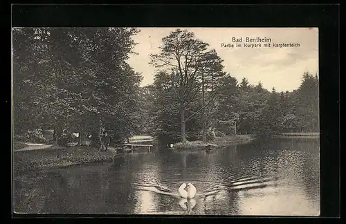 AK Bad Bentheim, Partie im Kurpark mit Karpfenteich