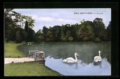 AK Bad Bentheim, Teich im Kurpark mit Schwänen