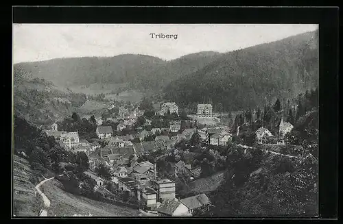 AK Triberg, Teilansicht