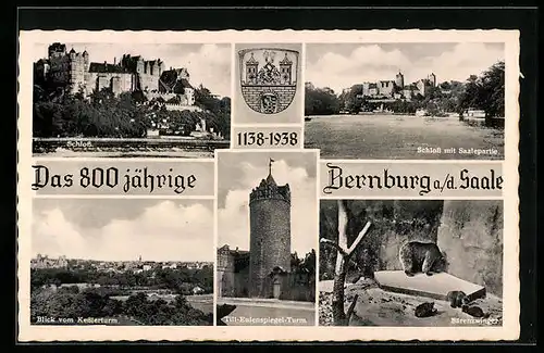 AK Bernburg a. d. Saale, Schloss mit Saalepartie, Till-Eulenspiegel-Turm, Bärenzwinger