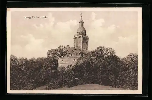 AK Falkenstein, Burg Falkenstein