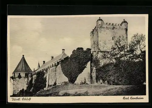 AK Bad Bentheim, Blick auf das Fürstl. Schloss