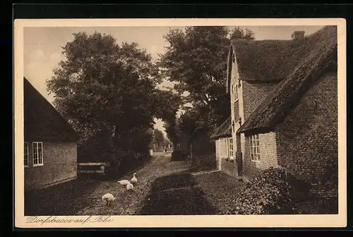 AK Wyk a. Föhr, Dorfstrasse mit Gänsen