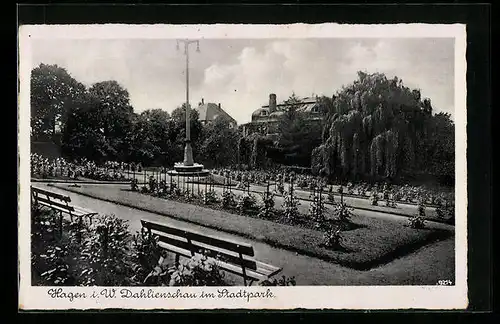 AK Hagen i. W., Dahlienschau im Stadtpark