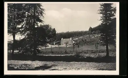 AK Bad Rothenfelde am Teutoburgerwald, Heldenhain im Sonnenlicht