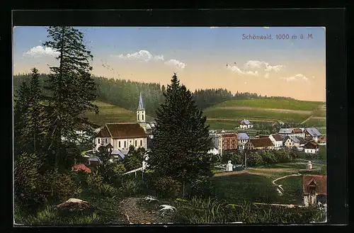 AK Schönwald, Teilansicht mit Wald
