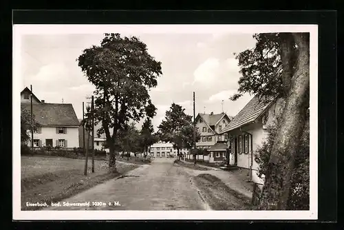 AK Eisenbach /Bad. Schwarzwald, Strassenpartie im Ort