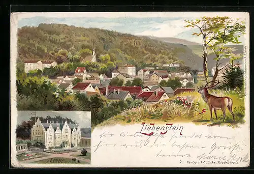 Lithographie Liebenstein, Schloss Altenstein, Ortsansicht aus der Vogelschau, Hirsch