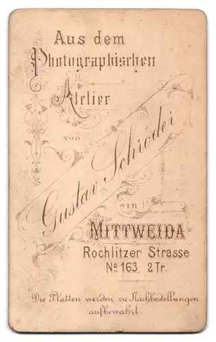 Fotografie Gustav Schröder, Mittweida, Rochlitzer Strasse 163, Bürgerlicher Herr mit Bart u. Halbglatze im Anzug