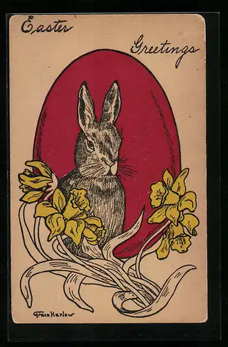 AK Osterhase mit Narzissen