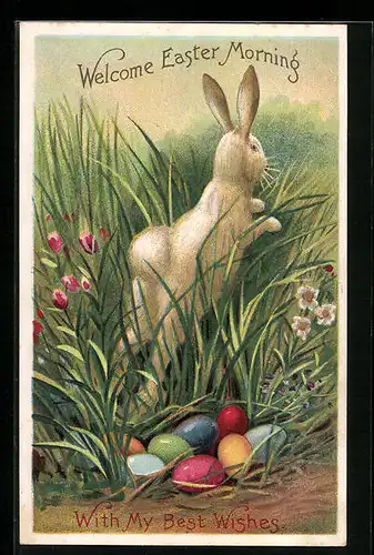 AK Osterhase im Gras mit Ostereiern