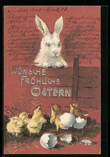 AK Osterhase beobachtet schlüpfende Osterküken