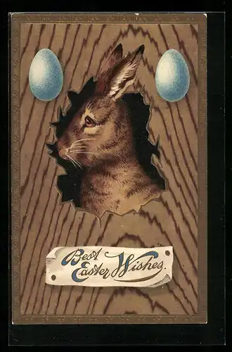 AK Osterhase guckt aus dem Loch