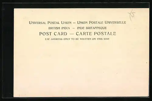 AK A Reckla, Ein Ochsengespann