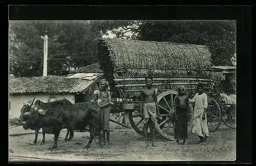 AK Ceylon, Native Bullock Cart