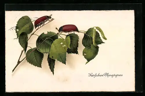 Künstler-AK Maikäfer auf einem Birkenzweig