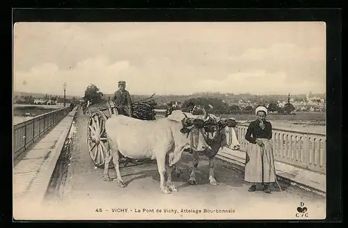 AK Vichy, Le Pont de Vichy, Attelage Bourbonnais, Ochsengespann