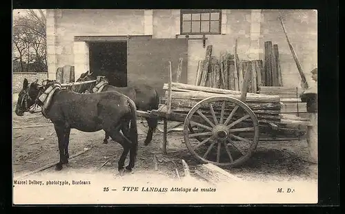 AK Types Landais, Attelage de mules, Maultiergespann mit Holz