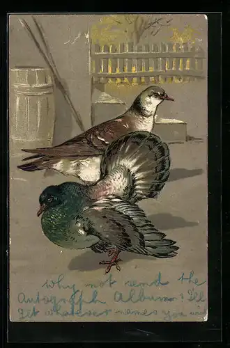 Präge-AK Zwei Tauben mit unterschiedlichem Gefieder in einem Hof