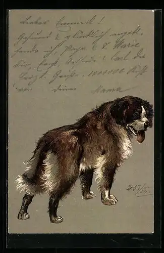 Lithographie Hund mit langem Fell und heraushängender Zunge