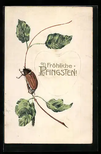 AK Ein Maikäfer auf einem dünnen Birkenzweig, Pfingstgruss