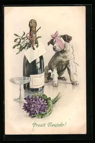 AK Hund mit Kopf- und Pfotenverband neben einer Sektflasche, Neujahrsgruss