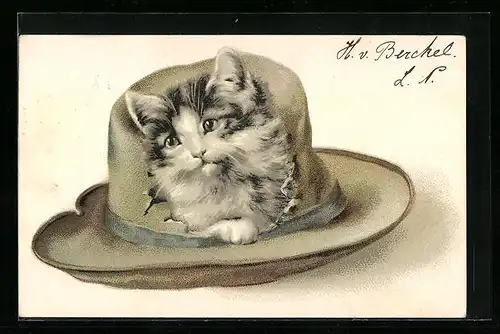 Lithographie Katze schaut aus einem grossen Loch im Hut hervor
