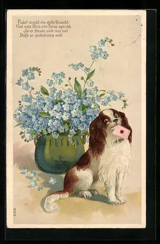 AK Kleiner Hund mit Brief neben einem Vergissmeinnicht-Topf