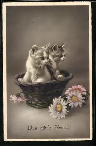 AK Was gibts Neues?, Zwei kleine Katzen in einem Körbchen