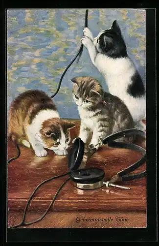 AK Geheimnisvolle Töne, Drei kleine Katzen mit Kopfhörer