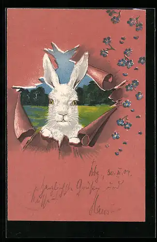 Präge-Lithographie Weisser Hase in Landschaft schaut durch Loch im Papier