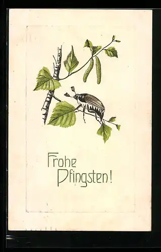 AK Maikäfer krabbelt auf dem Zweig einer Birke, Pfingstgruss