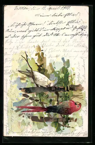 Lithographie Zwei Papageien auf einem Baum