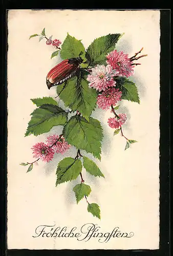 AK Maikäfer auf Zweig mit rosa Blüten, Pfingstgruss