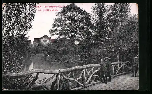 AK Posen, Botanischer Garten, Am Goldfischteich