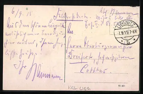 AK Liegnitz, Rathaus mit Litfasssäule