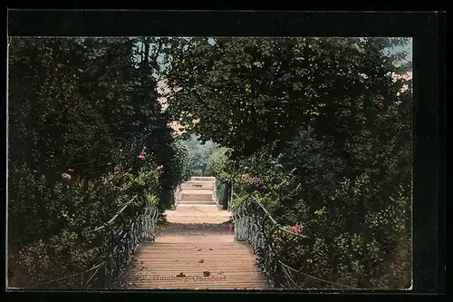 AK Hamburg-Ohlsdorf, Treppen im Friedhof